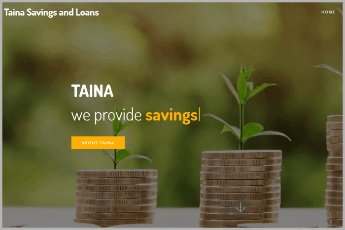 Taina Savings and Loans